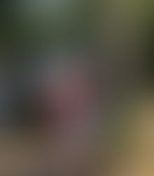 FF 1.7 - Shame Part 2 with Jill + Jack