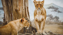 What Does the Book of Daniel Have to do with Teens?