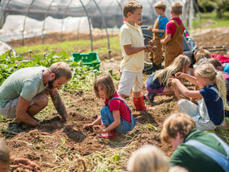 Farm to [More] School(s)