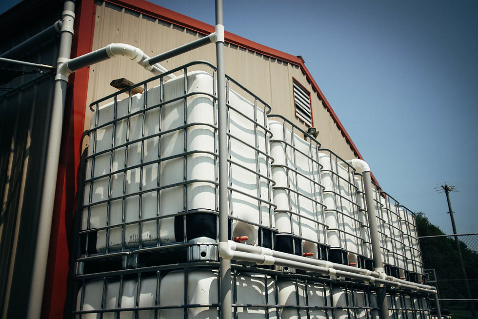 On our property in Nashville, twelve water tanks harvests nearly 60,000 gallons of water annually. Stored rainwater is now the major source of irrigation for our community garden, saving us $6,000 annually in city water charges.