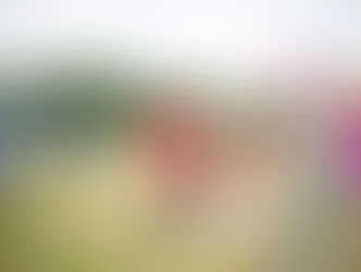 An Unforgettable Summer