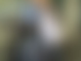 No Looking Back: A Mother's Reflection