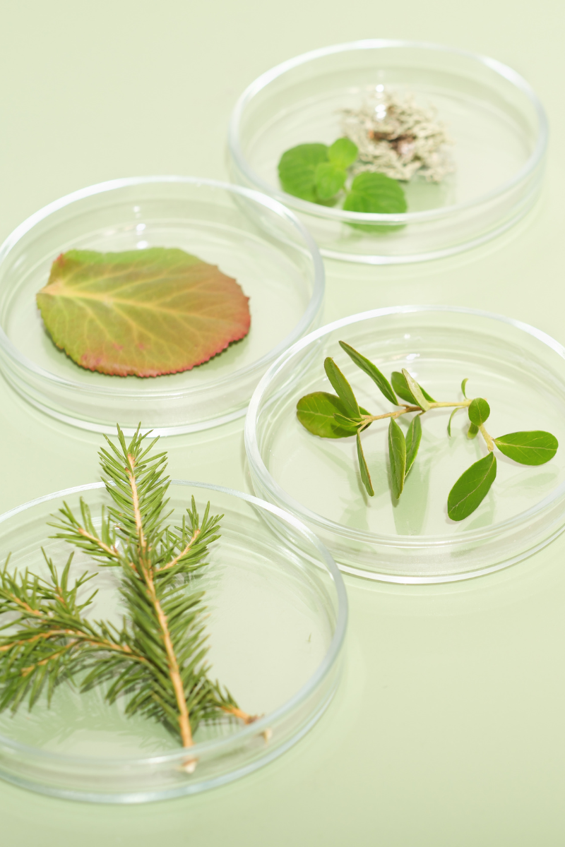Skincare science with natural ingredients