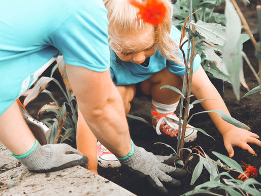 Erfolgsgeschichte: Gemeinnütziger Verein auf cloudbasierte Zusammenarbeit umgestellt