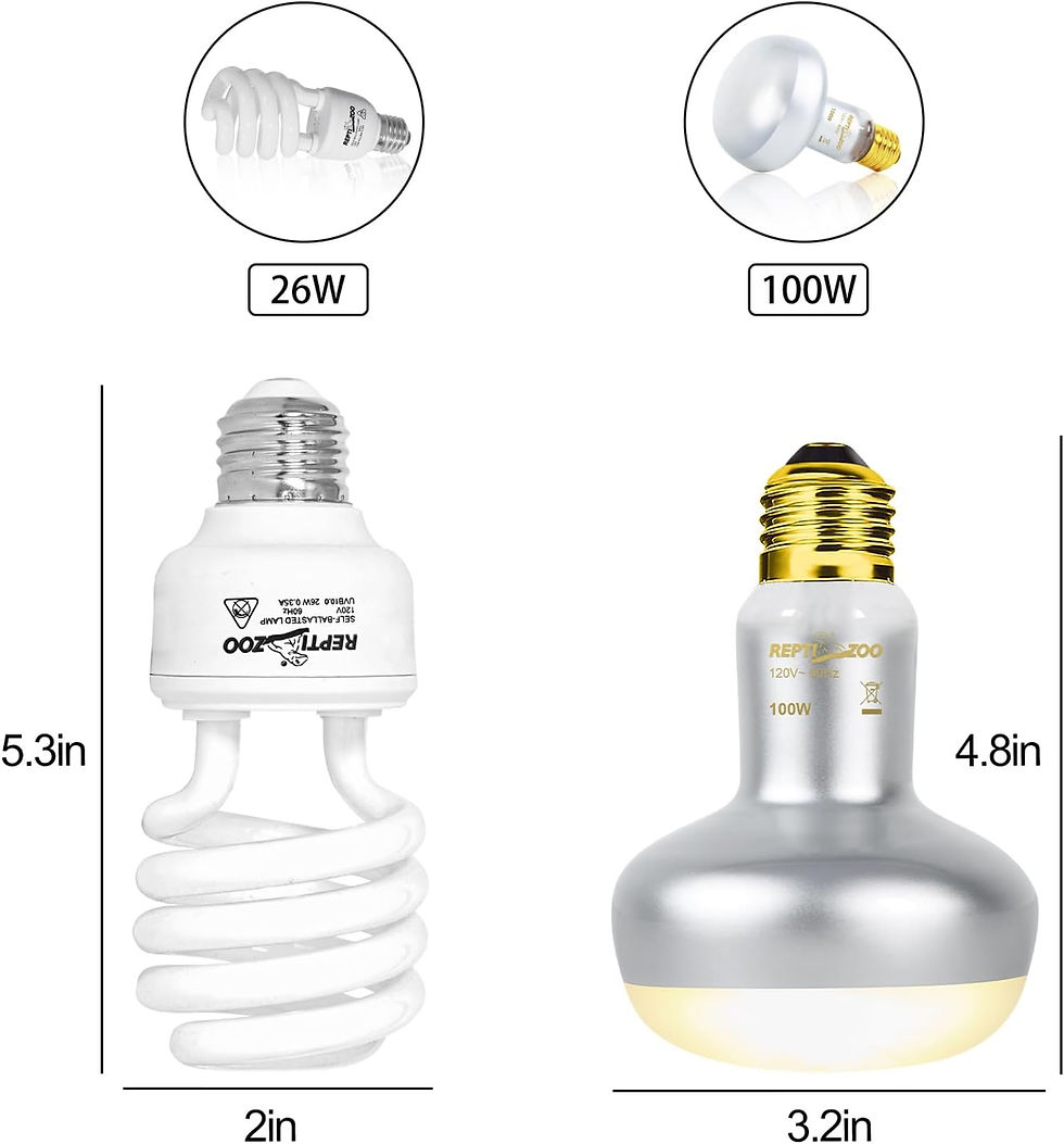Thumbnail: REPTI ZOO Reptile Heat Lamp Combo Pack with Dual Reptile Light Fixture, 100W In