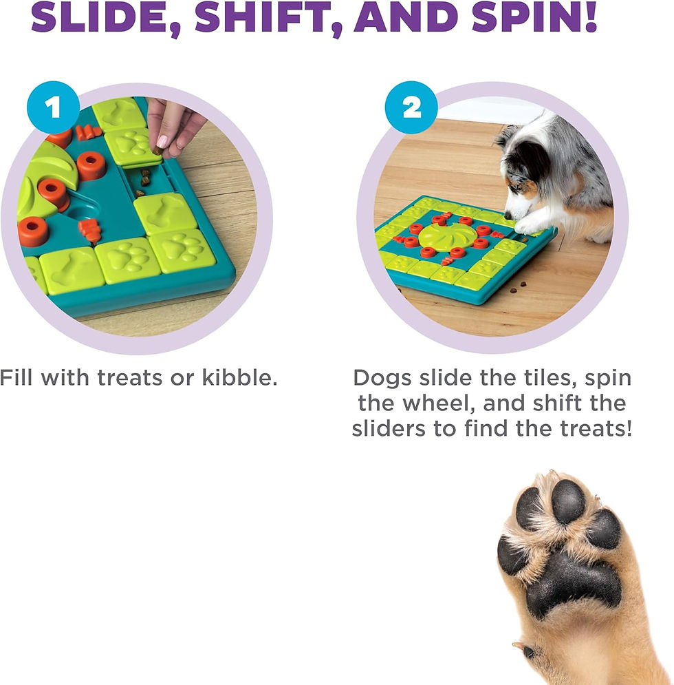 Thumbnail: Outward Hound by Nina Ottosson Multipuzzle Level 4 Expert Dog Treat Puzzle for 
