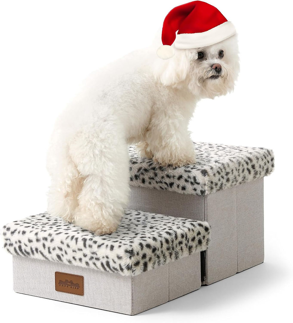 Thumbnail: Dog Stair for Small Dogs with Storage, Foldable Pet Step with Soft Cover, Older