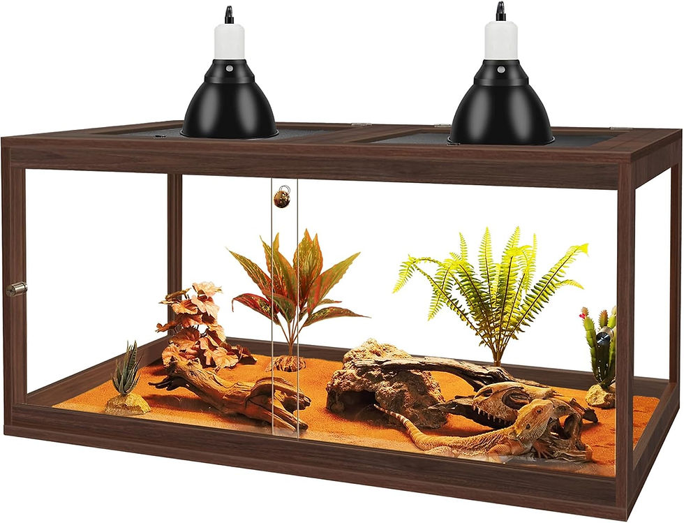 Thumbnail: Prolee 27 Gallon Reptile Terrarium Tank 24 Inch Lizard Tank Bearded Dragon Tank