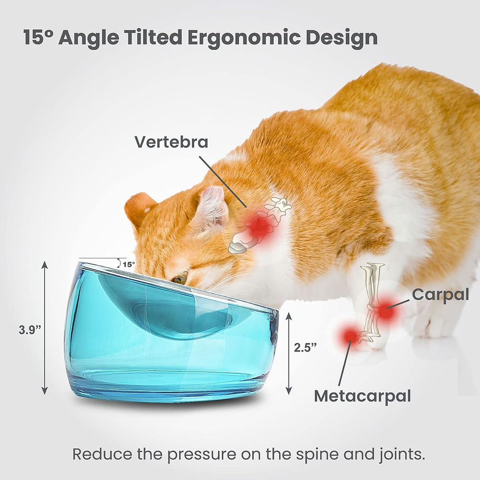 Thumbnail: Felli Oblik Elevated Cat Bowl Removable Stainless Steel Wide Dish for Dry Wet F