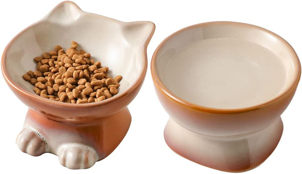 Thumbnail: Nihow Slanted Elevated Cat Bowls: 5 Inch Ceramic Raised Cat DFood Bowl for Prote