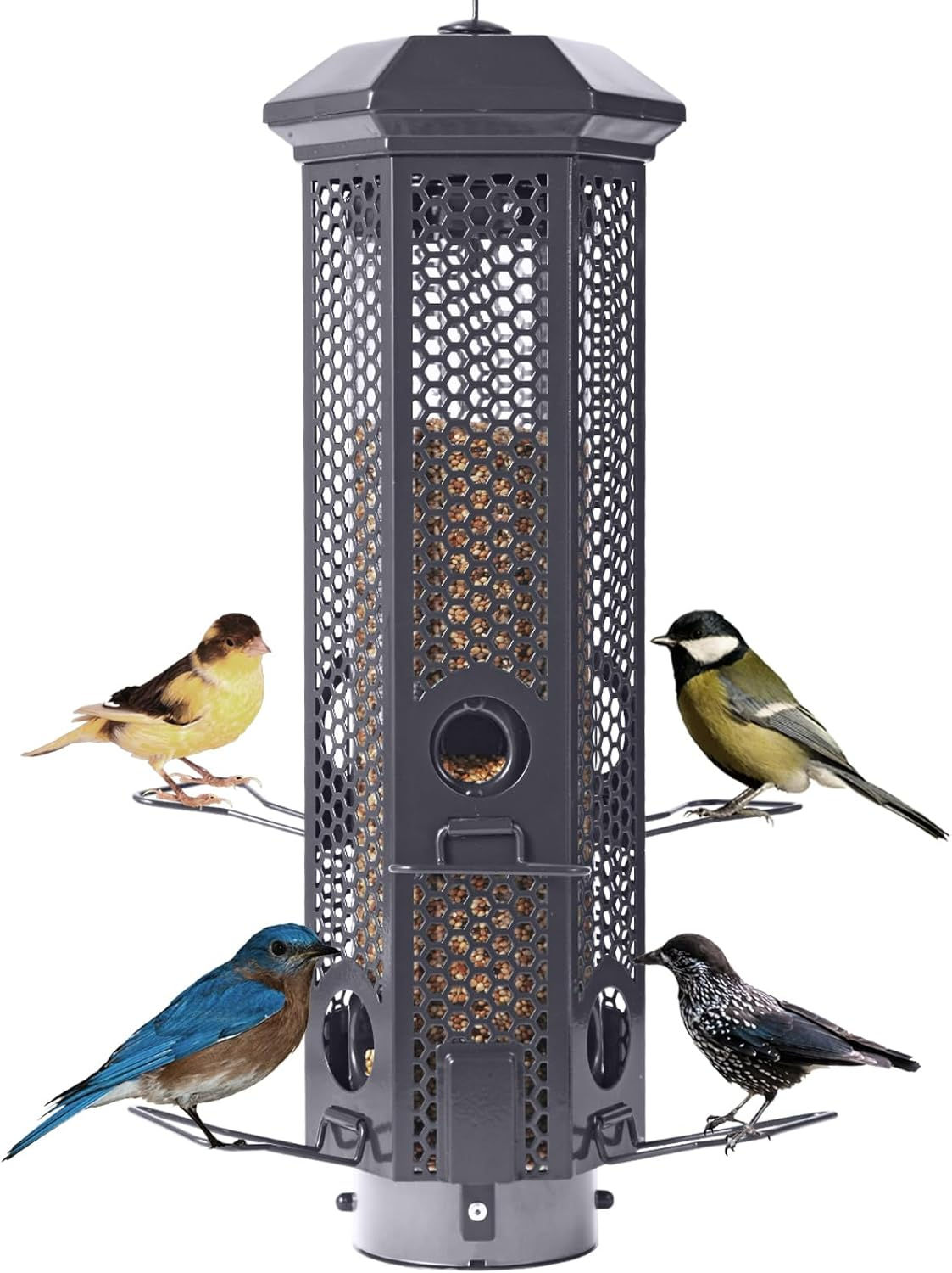 Squirrel Proof Bird Feeders with Removable Base, Metal Wild Bird Feeder for Out