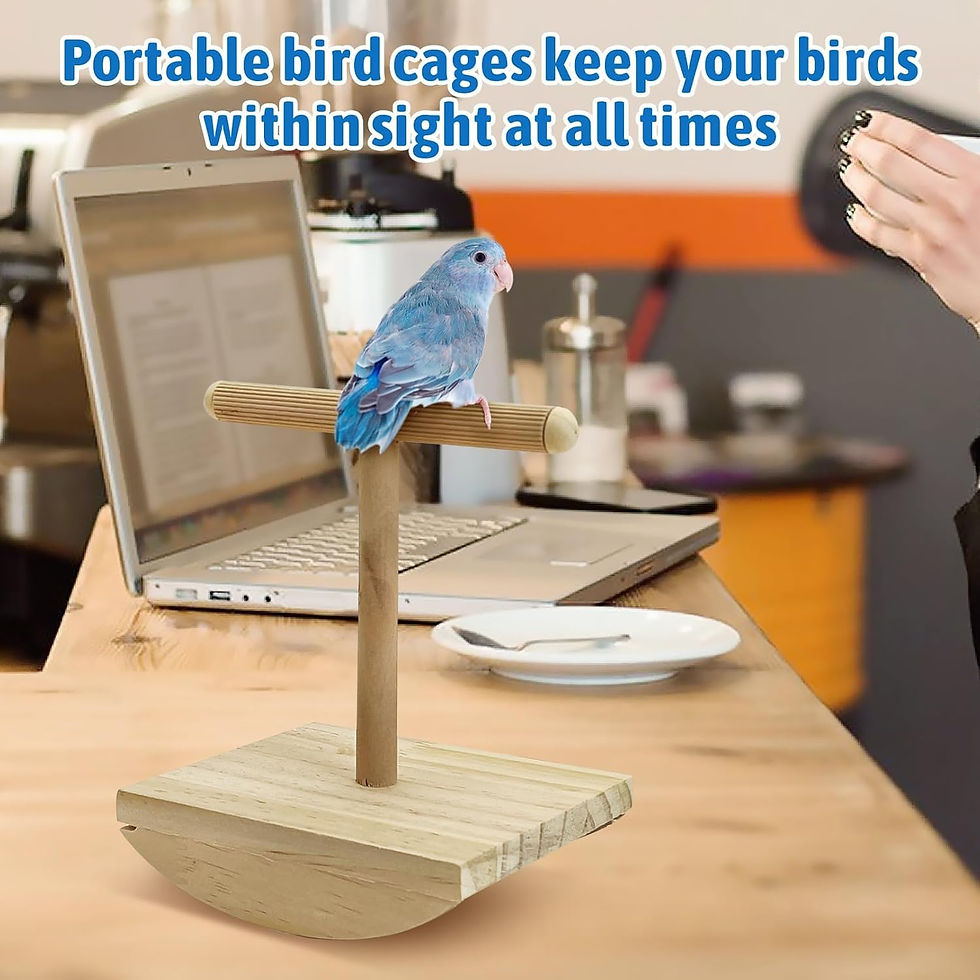 Thumbnail: kathson Bird Training Stand, Parakeet Playground Bird Perch Platform Portable T