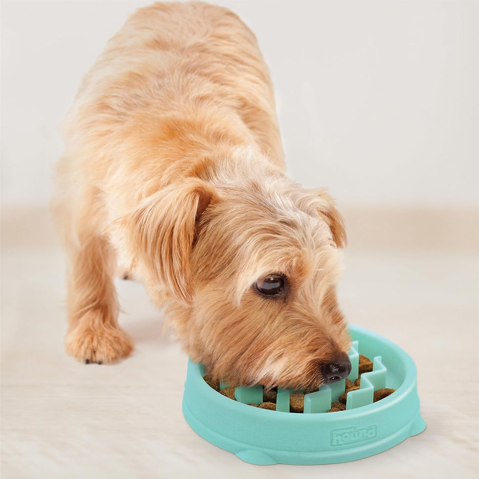 Thumbnail: Outward Hound Small Fun Feeder Slow Bowl, Puzzle for Fast Eaters, Puppies, Cats