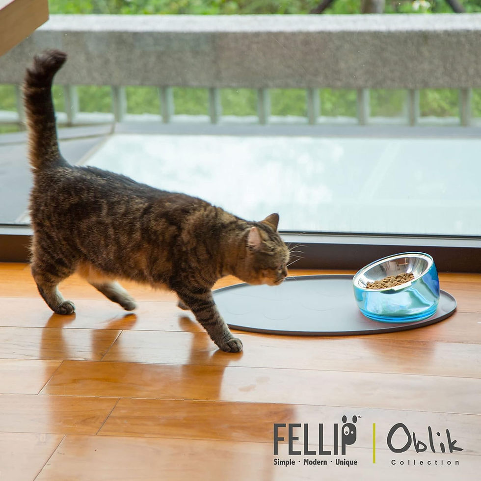 Thumbnail: Felli Oblik Elevated Cat Bowl Removable Stainless Steel Wide Dish for Dry Wet F