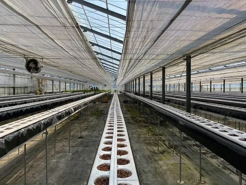 カタツムリポット