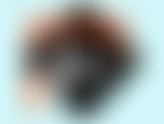 Intec divulga o Ranking das Maiores Construtoras do Brasil