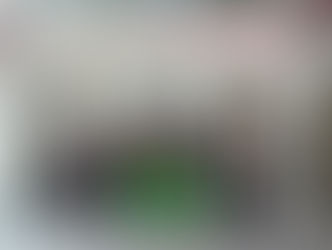 Missão China: fortalecendo relações e abrindo novas oportunidades