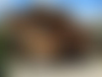 Curiosidade: conheça as casas de ponta‑cabeça pelo mundo