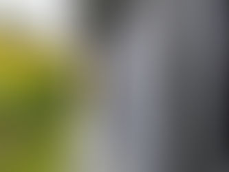 Telas mosquiteiras da Teknibraz combinam proteção e design discreto