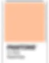 COR DO ANO 2024: PANTONE ANUNCIA PEACH FUZZ, TOM DE PÊSSEGO