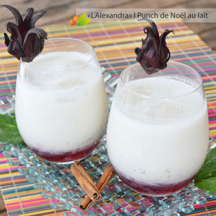 Punch Alexandra de Noël