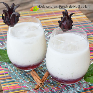 Punch Alexandra de Noël