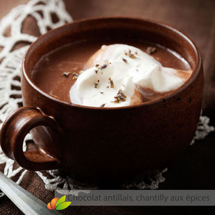 Chocolat antillais, chantilly aux épices