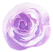 purple-rose-1.png