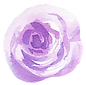 purple-rose-1.png
