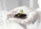 hands-holding-plant-petri-dish.jpg