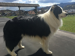 IMG_6828.jpeg