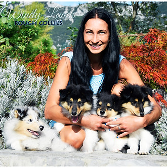 windy lands logo.jpg