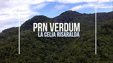 LA CELIA 4.jpg