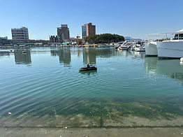 IMG_3764.JPG