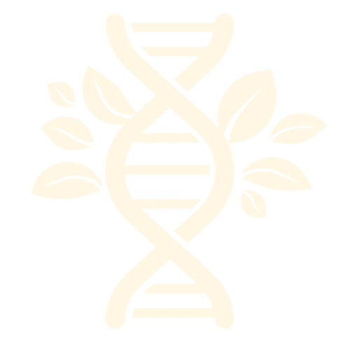 Logo Praxis für Physio Wasserburg.png