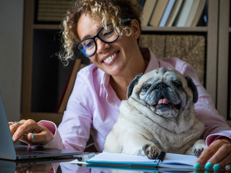 Is a Private Pension Worth It for Expats in Germany?