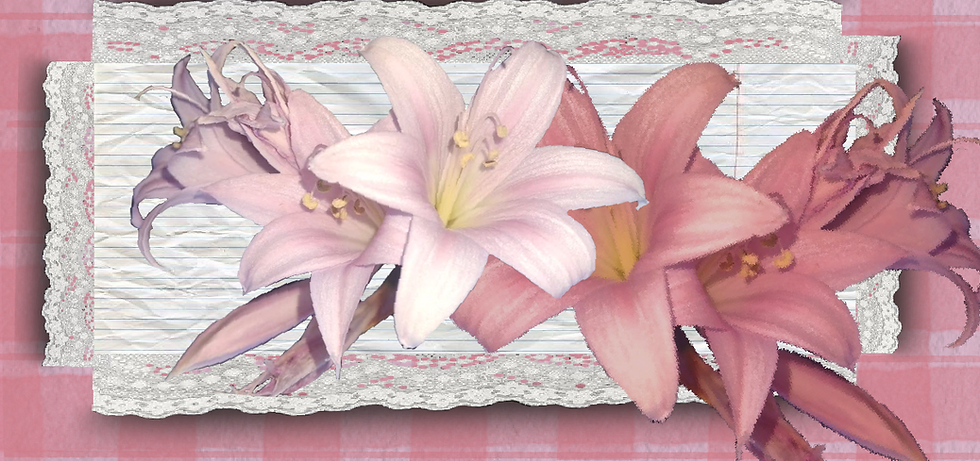 flowercountershop.png
