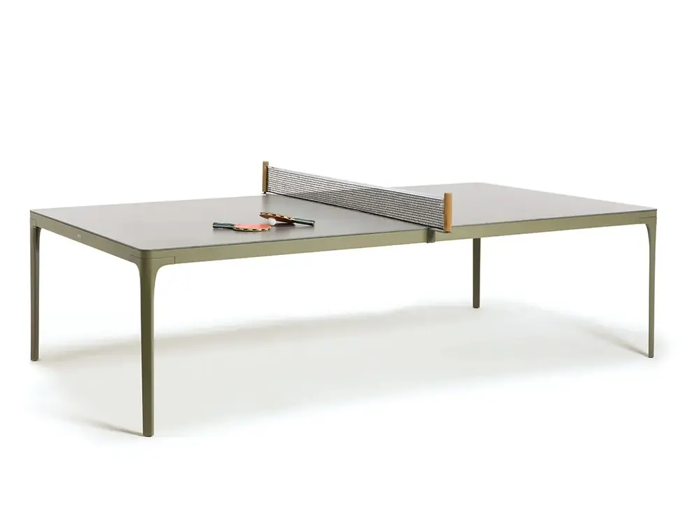 Play Rectangular Ping pong table
