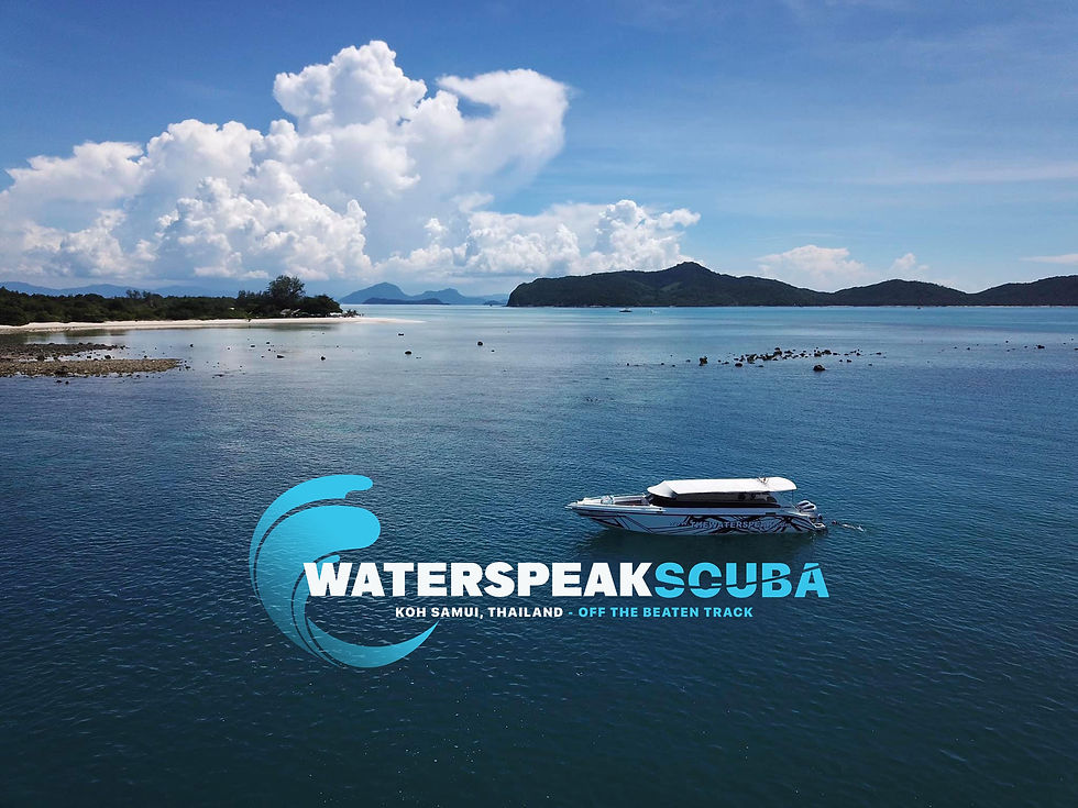 How Long Should You Stay in Koh Samui?