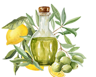 olivenöl