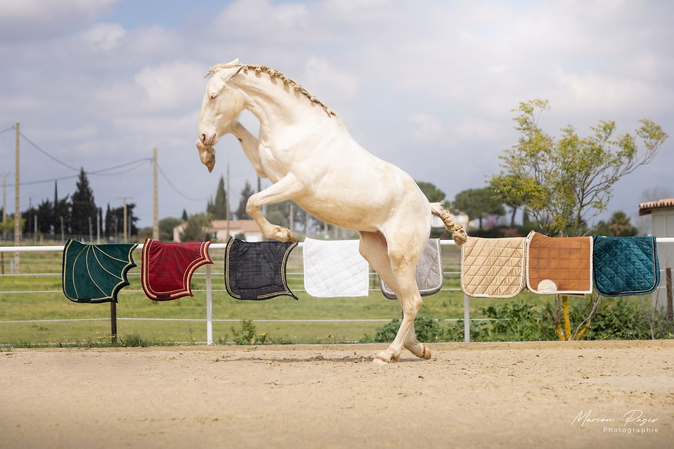 Bienvenue sur la page des évènements organisés par LPC