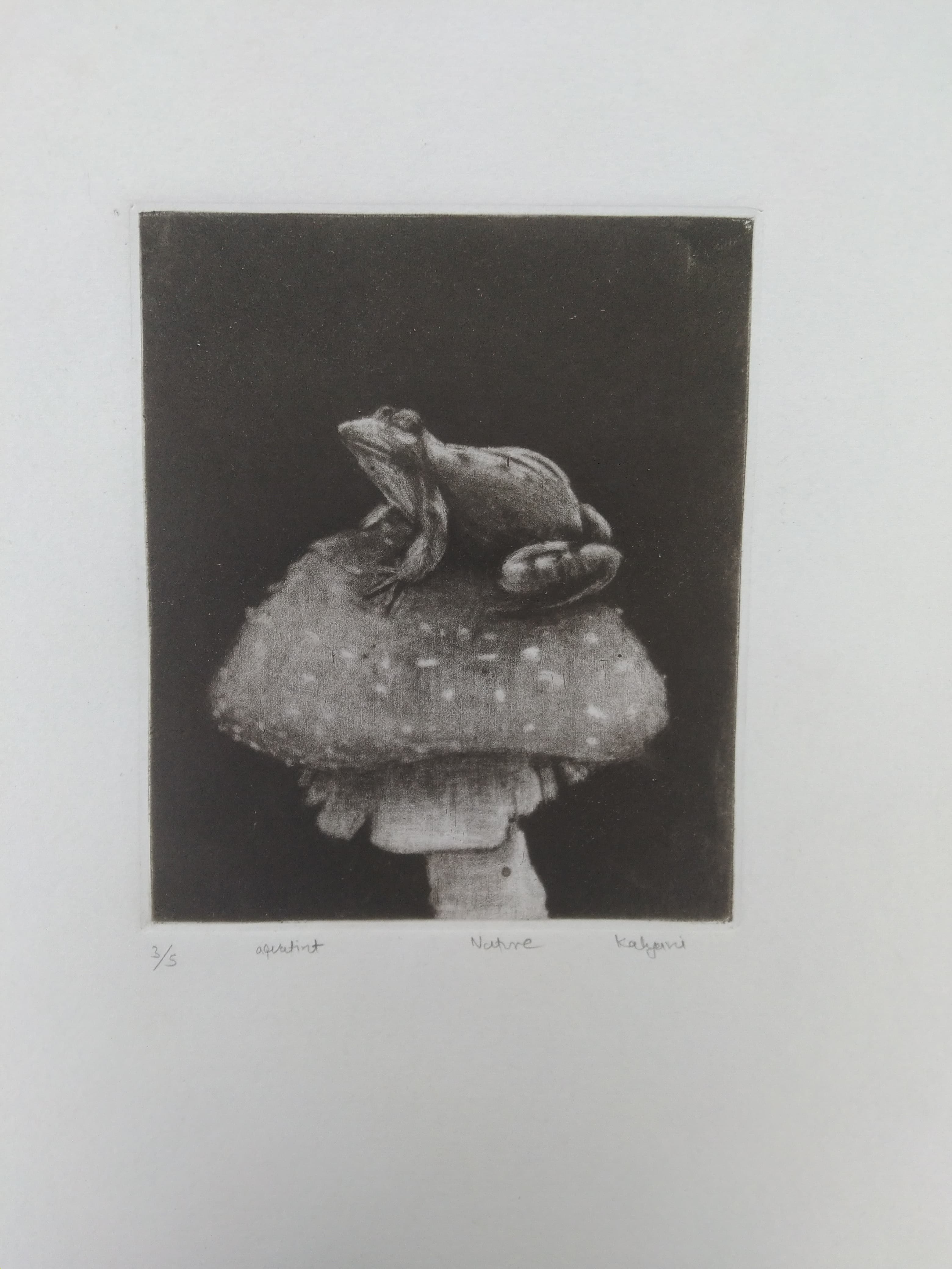 Small world 2 by Kalyani Gandharva, frog on mushroom artwork