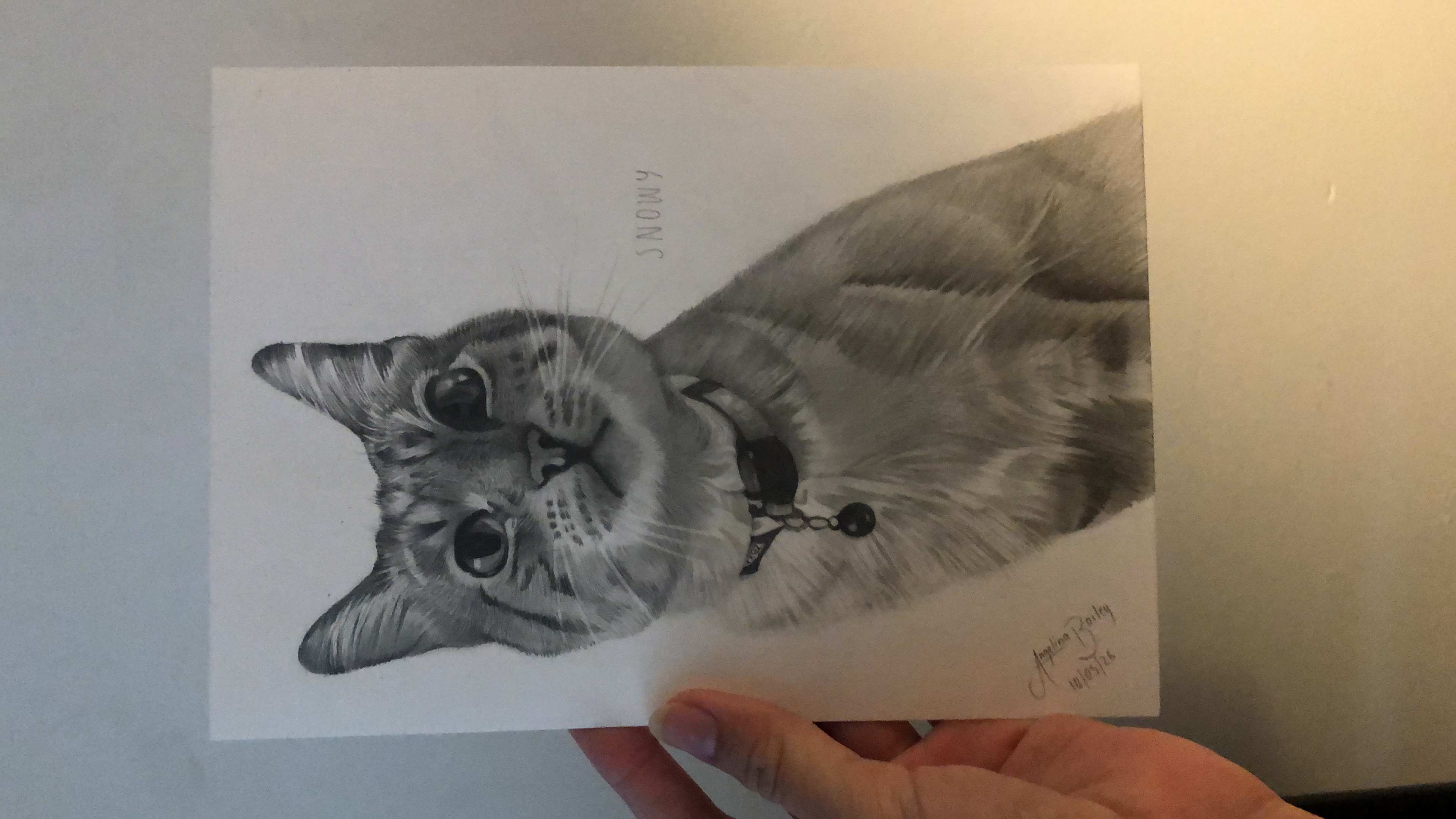 Snowy by Angelina Bailey, a realistic graphite drawing of a cat with detailed fur and expressive eyes