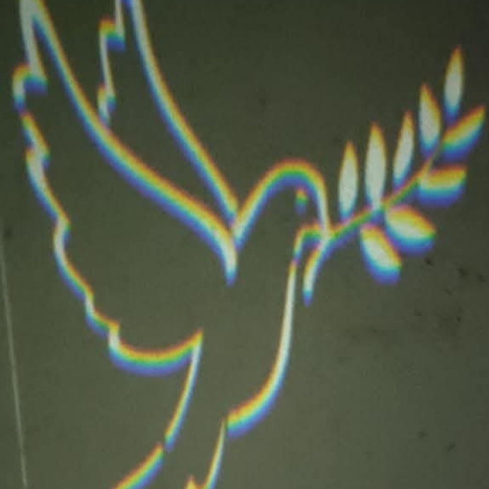 Dove-Artificial Rainbow Designing image by Kolagani sampath kumar