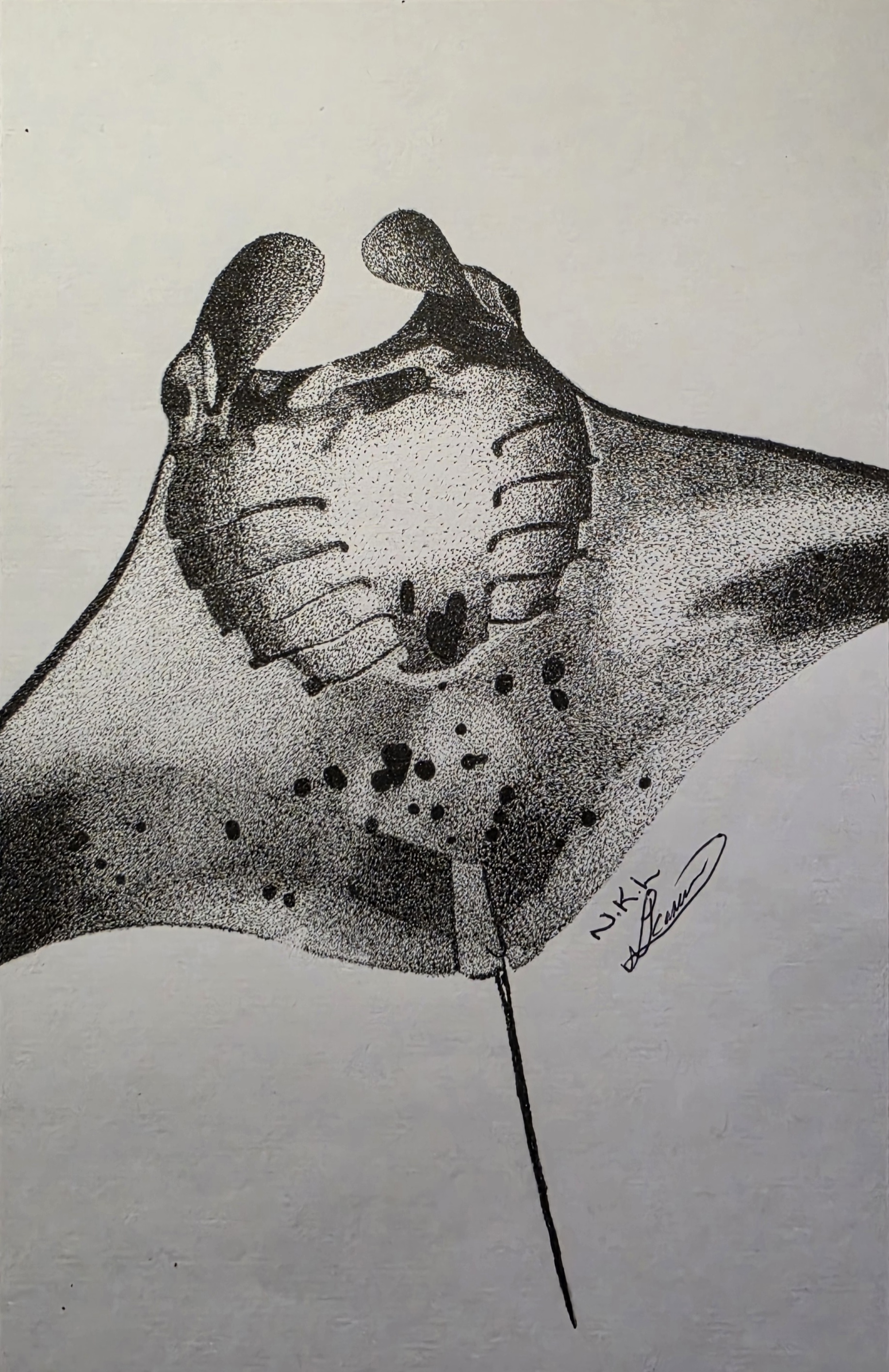 Silent Flight by Nicole Kim Larsen, a monochromatic manta ray