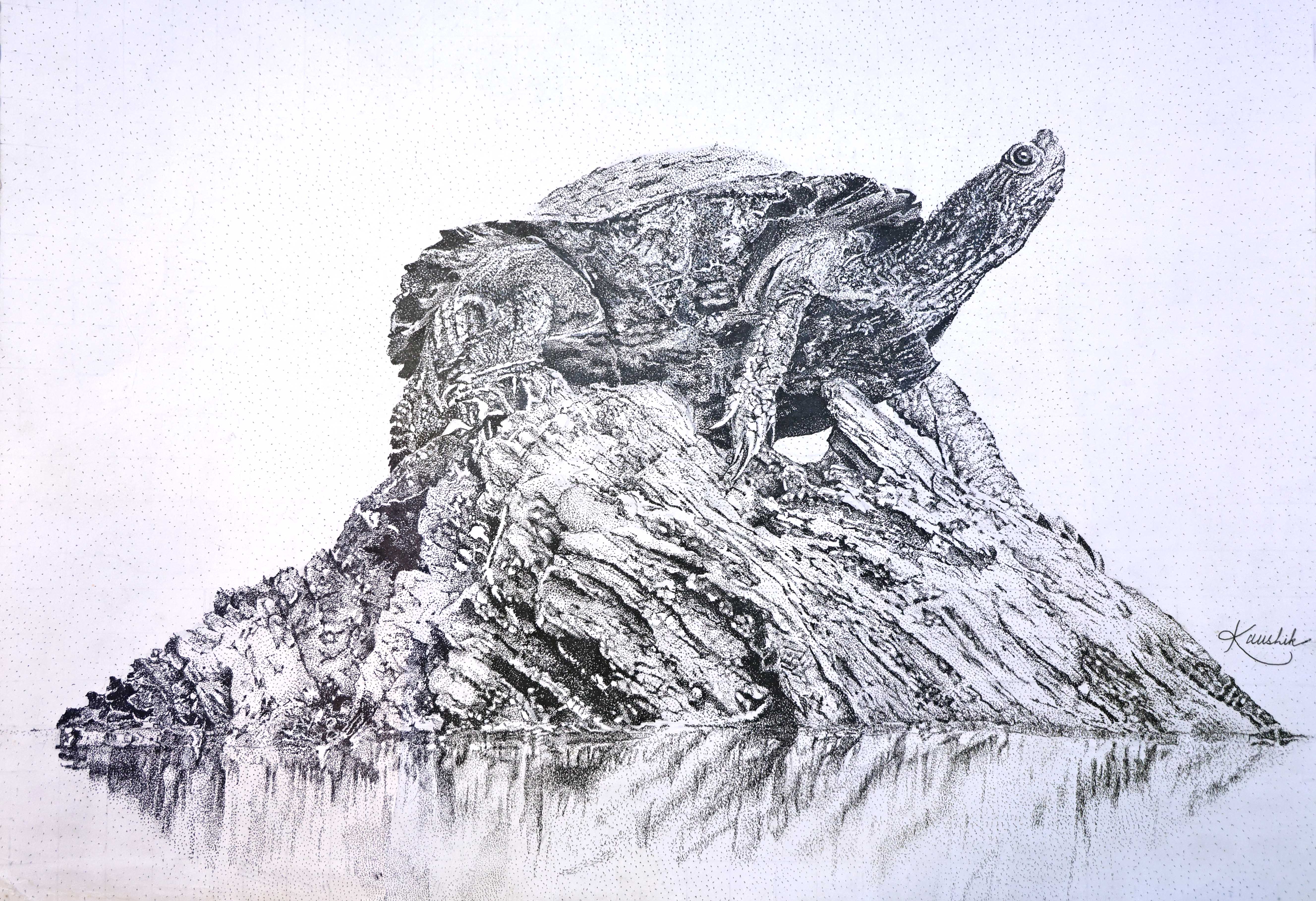 The Unyielding Witness by Kaushik Fouzdar, monochrome turtle on rock