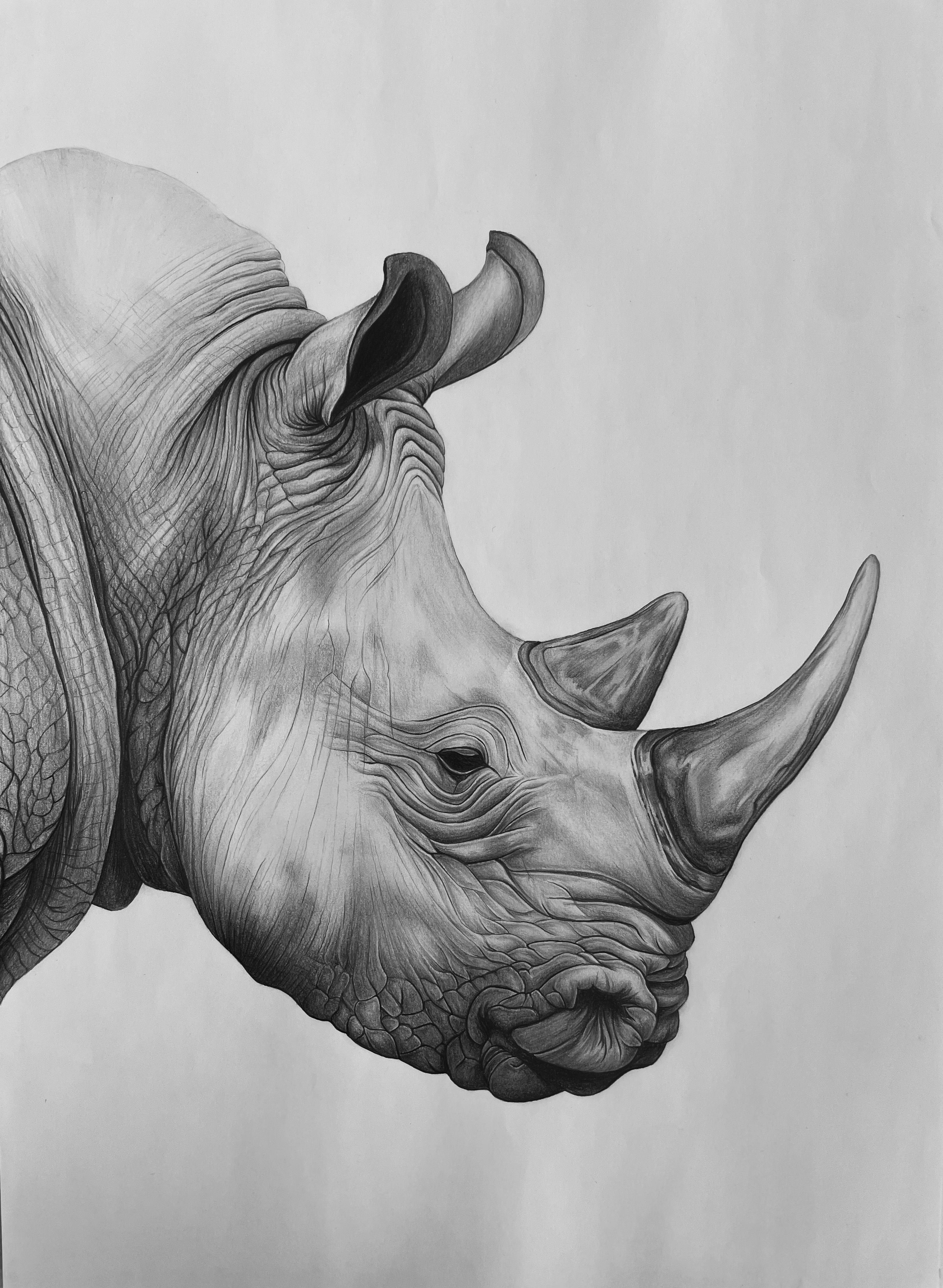 African Gentle Titan by Micaela van Driel, detailed rhinoceros depiction