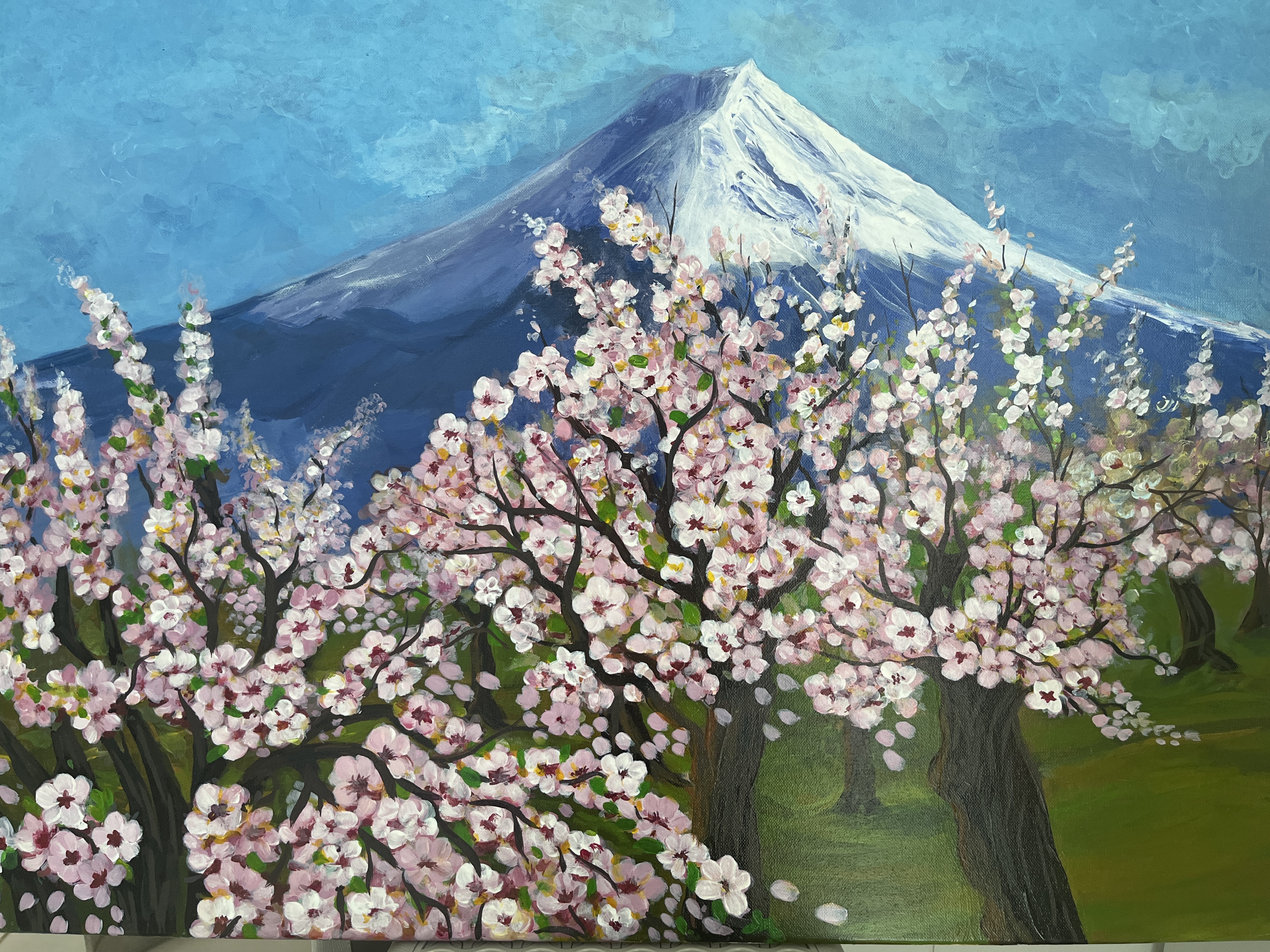 Colors of Japan by Anum Anwar Ali - Mount Fuji with cherry blossoms