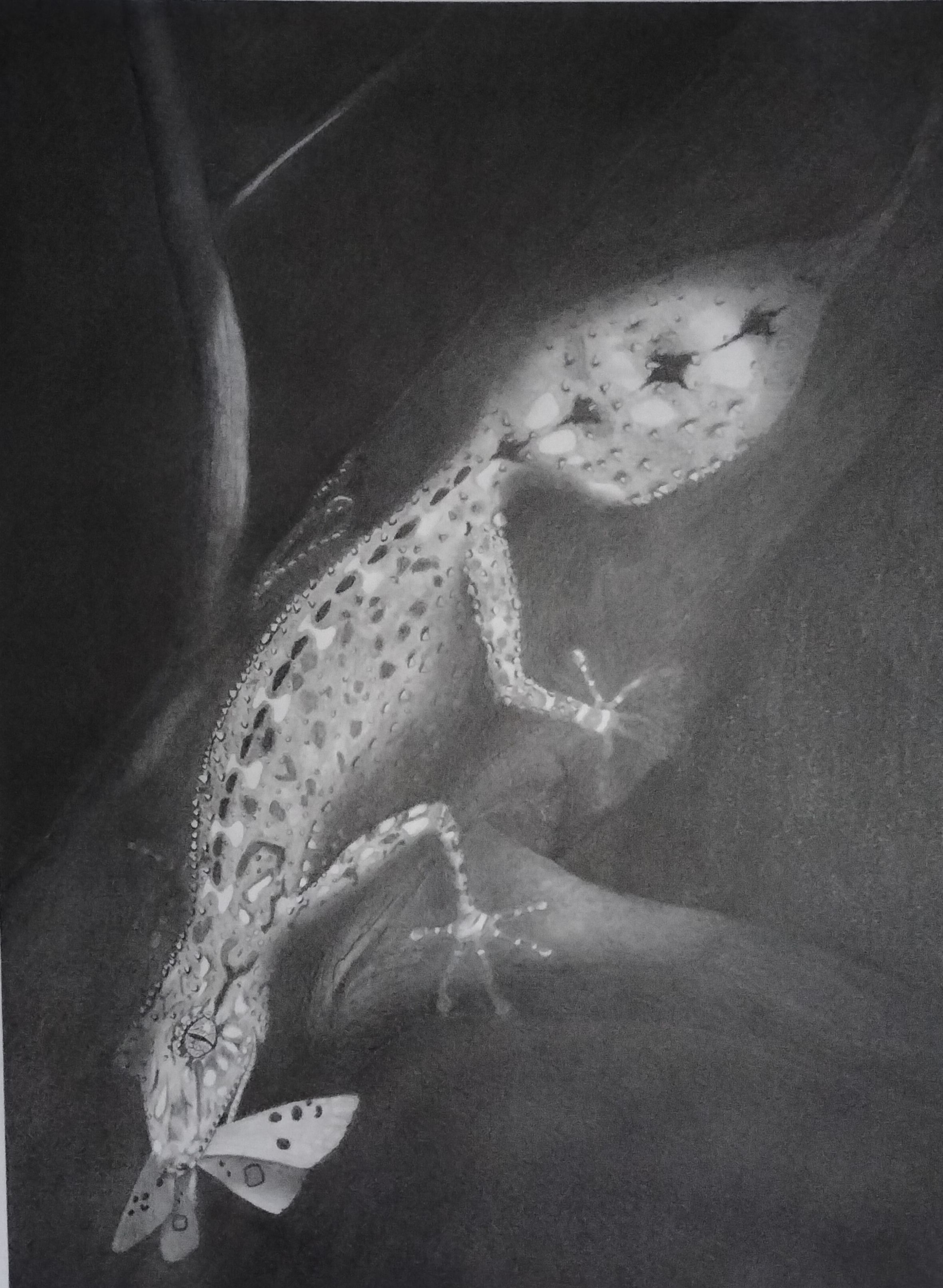 Leaftailed Gecko by Kevin H Young, a detailed depiction of a gecko clinging to a branch