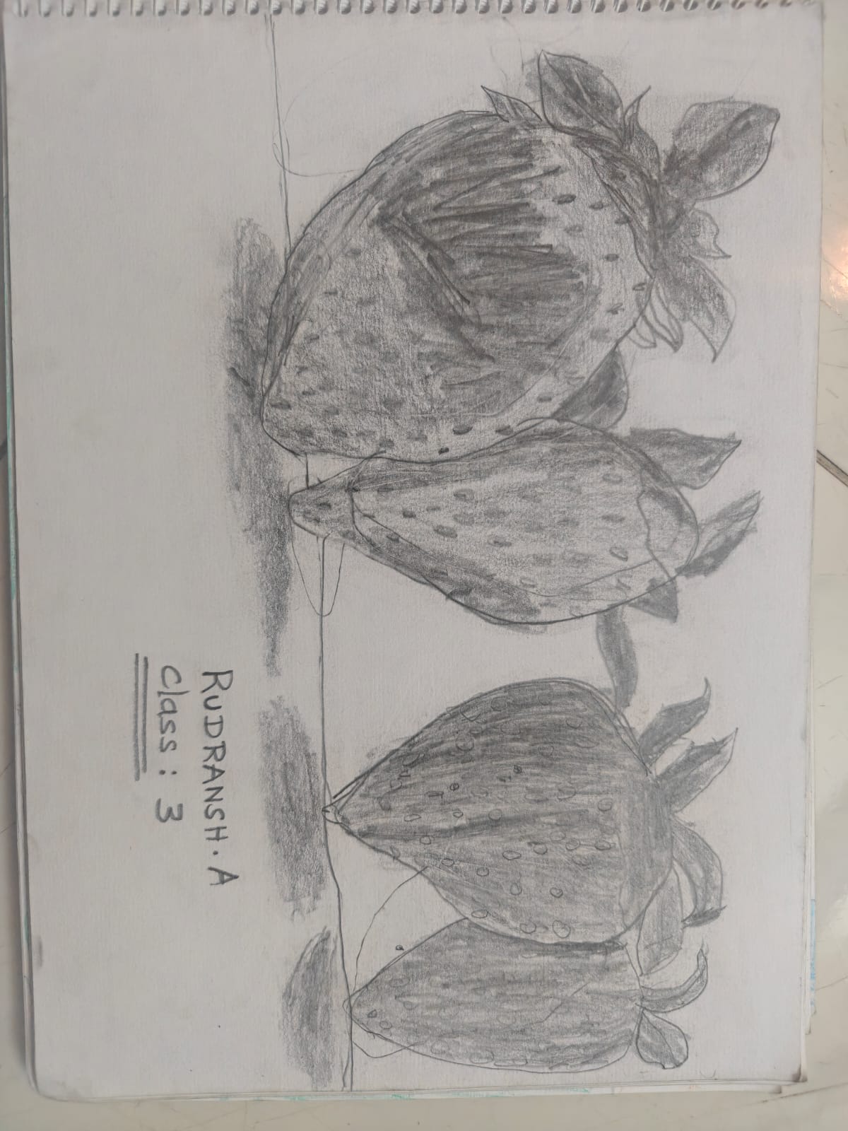 Standing Fruits by A.Rudransh - graphite still life of strawberries